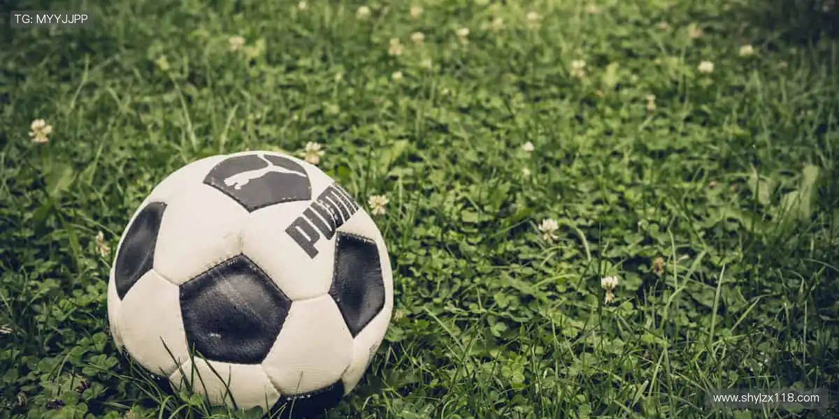 🎾专业周边，为热爱注入灵魂色彩！